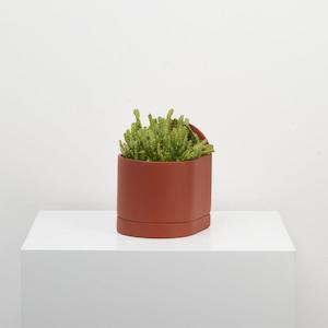 Sol Planter - Terracotta