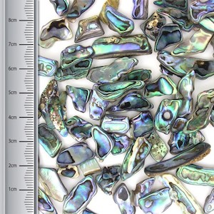 Craft material and supply: Paua Pieces, Extra Small (100gms)