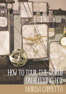 Book and other publishing (excluding printing): How to Tour the World on a Flying Fox