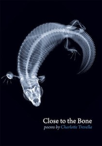 Book and other publishing (excluding printing): Close to the Bone