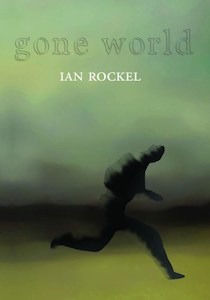 Book and other publishing (excluding printing): Gone World