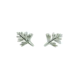 Studs - Hen and Chicken Fern