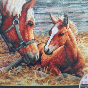 Craft material and supply: Horse & Foal kit