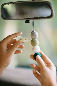 Clothing accessory: Smelly Balls Reusable Air Freshener