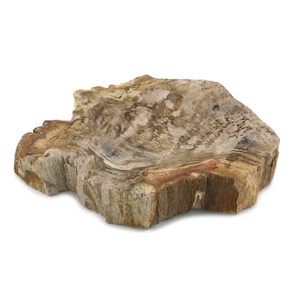 Rare Luxurious Petrified Wood Soap Dish & Tray (1812)