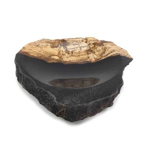 Rare Luxurious Petrified Wood Soap Dish & Tray (1805)