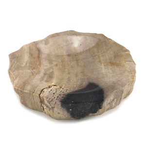 Rare Luxurious Petrified Wood Soap Dish & Tray (1803)