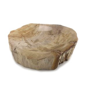 Rare Luxurious Petrified Wood Tray Or Soap Dish 13cm x 12.5cm (1801)