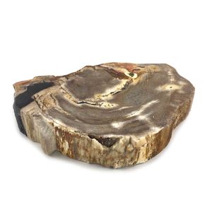 Rare Luxurious Petrified Wood Tray & Soap Dish 15.5cm x 12cm (1795)