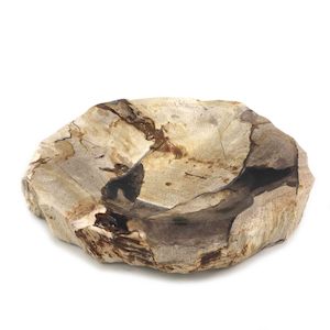 Luxurious Petrified Wood Soap Dish & Tray 4.5cm x 12.5cm x 2cm (1788)