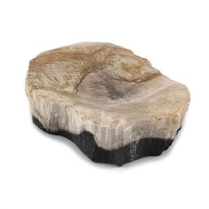 Luxurious Petrified Wood Soap Dish & Tray (1787)