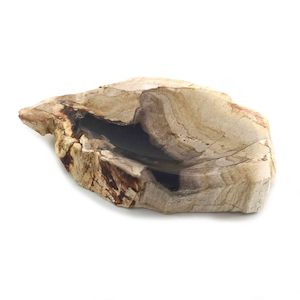 Luxurious Petrified Wood Soap Dish & Tray 15cm x 11.5cm x 2cm (1785)