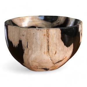 Petrified Wood Natural Stone Luxury Bowl (2440)