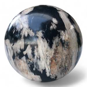 Petrified Wood Natural Home Decor Ball 8cm Diametre (2967)