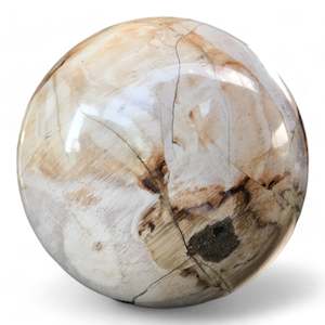 Petrified Wood Natural Home Decor Ball 8cm Diametre (2966)