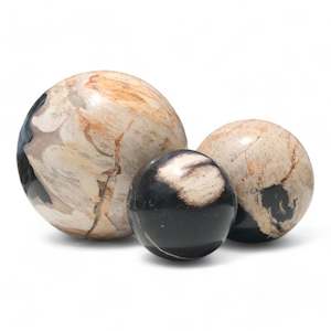 Petrified Wood Natural Home Decor Ball Set (2954)