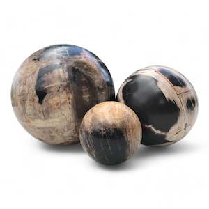 Petrified Wood Natural Home Decor Ball Set (2943)