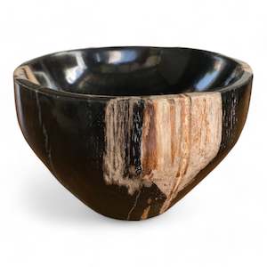 Petrified Wood Natural Stone Luxury Bowl (2447)