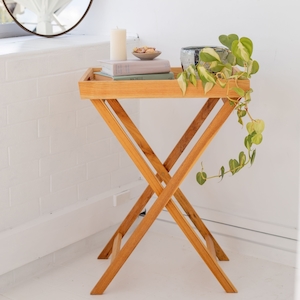 Plastic container, household: Butlers Tray Table