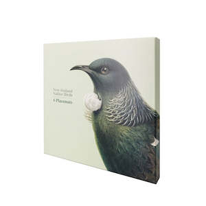 Placemats: Hushed Birds Box of 6 placemats