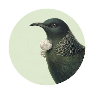 Hushed Green Tui Art Spot