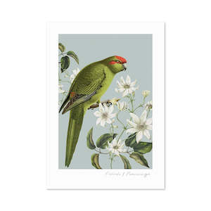 Birds & Botanics Kakariki A3 Print