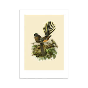 Fantail Buller's Bird A4 Print