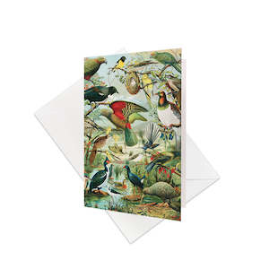 NZ Native Birds Gift Card & Envelope (6 Pack)