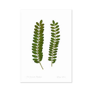 Flora Kowhai Leaves A3 Print