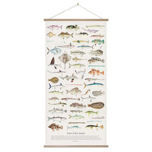 Fishes of New Zealand Wall Chart