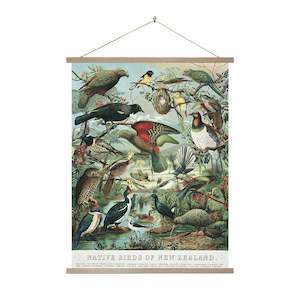 Native Birds of New Zealand Wall Chart