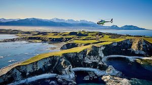 South pacific Kaikoura helicopter whale watch EXPLORER 30MIN 凱庫拉直升飛…