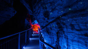 Waitomo Glowworm Caves + Aranui Caves + Ruakuri Caves 懷托摩螢火蟲洞&魯…