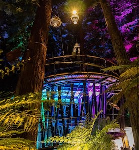 Redwoods Treewalk 紅木森林空中漫步 - 喜田舒旅