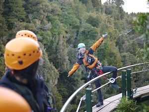 Travel agency: Rotorua Canopy Tours 羅托魯瓦 原始森林樹冠生態冒險之旅：Original 經典叢林飛降 - 喜田舒旅