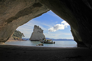 Glass Bottom Boat-2hr Cathedral Cove Tour 2小時 教堂灣玻璃底船巡遊之…