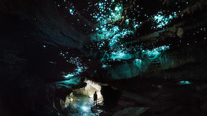 Waitomo Glowworm Caves + Aranui Cave 懷托摩螢火蟲洞 + 阿拉奴伊洞 - 喜田舒旅