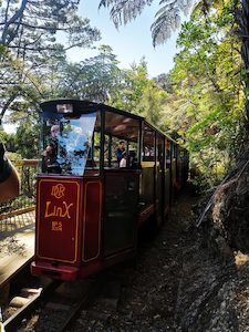 Travel agency: Coromandel Driving Creek Railway-科羅曼德 急水溪觀光火車 - 喜田舒旅