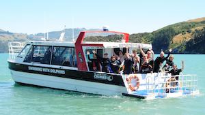 Travel agency: Akaroa Harbour Black Cat Nature Cruise 阿卡羅阿港黑貓號自然巡遊 - 喜田舒旅