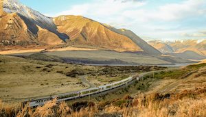 TranzAlpine - Christchurch-Greymouth-Christchurch 高山觀景火車 基督城-…