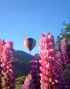 Sunrise Balloon 皇后鎮熱氣球看日出 - 喜田舒旅