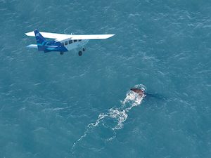 Wings over Whales Whale Watching Flight 凱庫拉乘固定翼飛機觀鯨 - 喜田舒旅