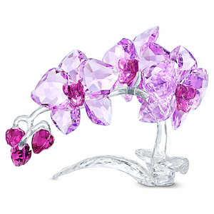 Jewellery: ORCHID