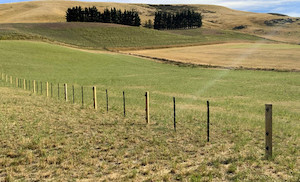 Farm produce or supplies wholesaling: Styx Farm Fence Battens: 5 & 7 Wire, 5-Year Warranty