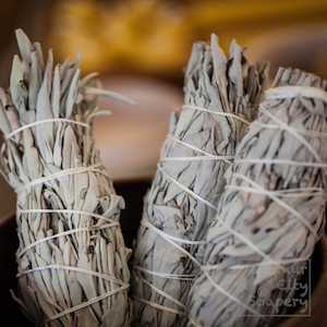 Organic sage smudge stick