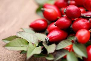 Brookby Herbs Rosehips