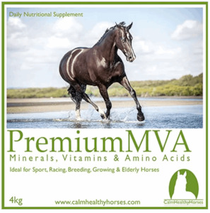 Calm Healthy Horses Premium MVA