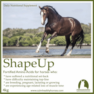 Calm Healthy Horses Shape Up