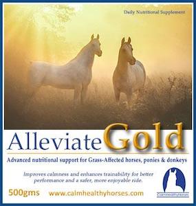 Calm Healthy Horses: Calm Healthy Horses Alleviate Gold