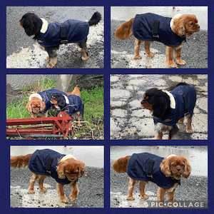 Cavallino Sherwood Dog Coat